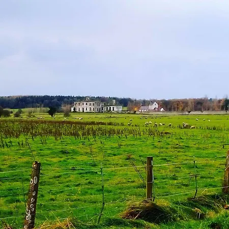 Tatil parkı Galway Glamping