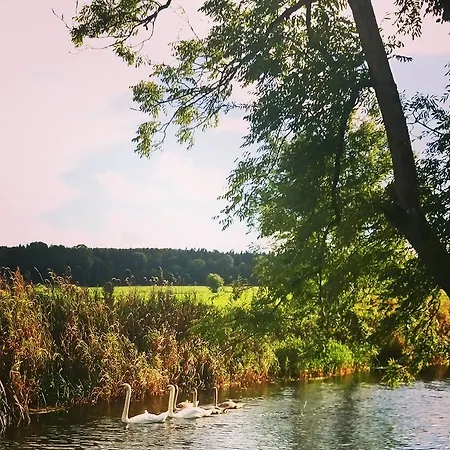 Tatil parkı Galway Glamping