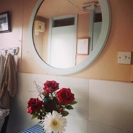 Üdülőpark Galway Glamping 5*