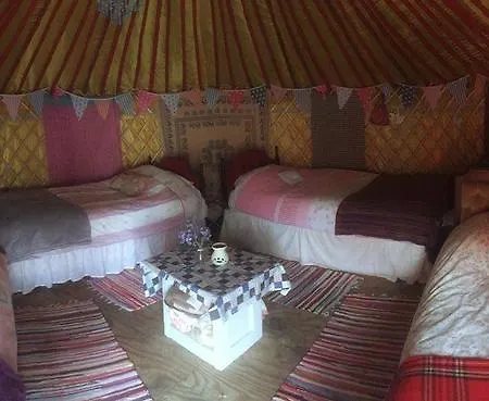 Galway Glamping 5*