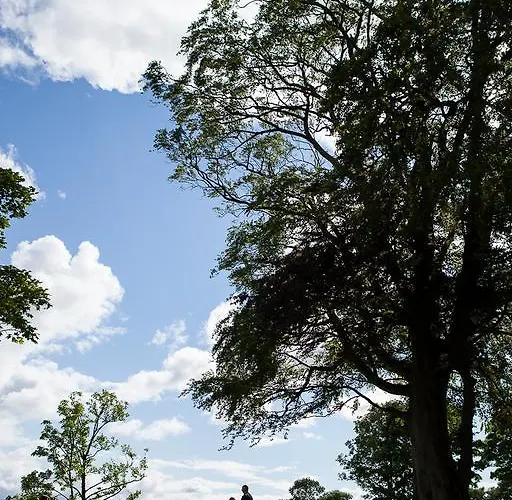 Tatil parkı Galway Glamping