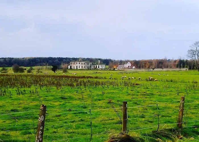 Üdülőpark Galway Glamping