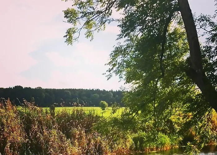 Tatil parkı Galway Glamping