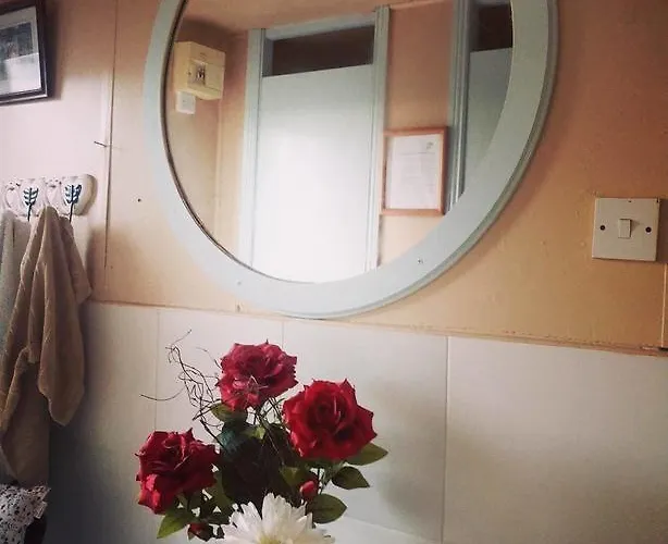 Üdülőpark Galway Glamping 5*