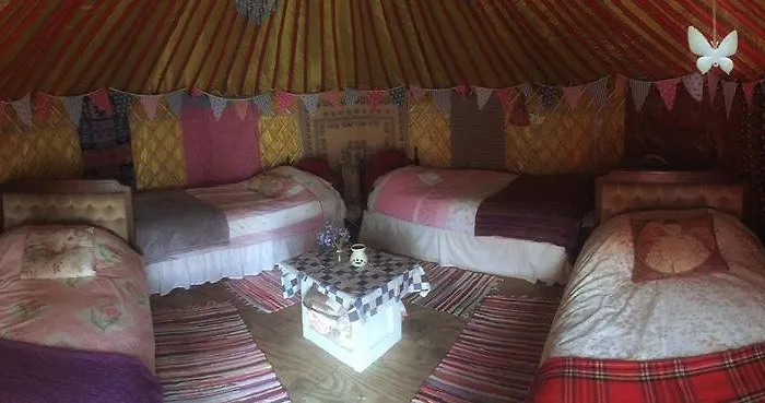 Galway Glamping 5*